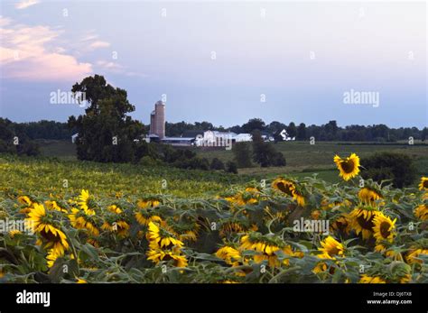 starlight indiana hotels|The Best Hotel Deals in Starlight (Feb 2024) .